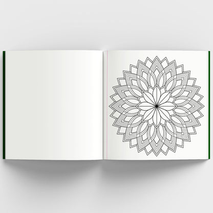 Meditative Mandalas: Adult Coloring Book: Meditative Mandalas for Relaxation & Stress Relief | A Mindfulness & Therapy Guide for Adults to Unwind & Boost Creativity [Select Learning]