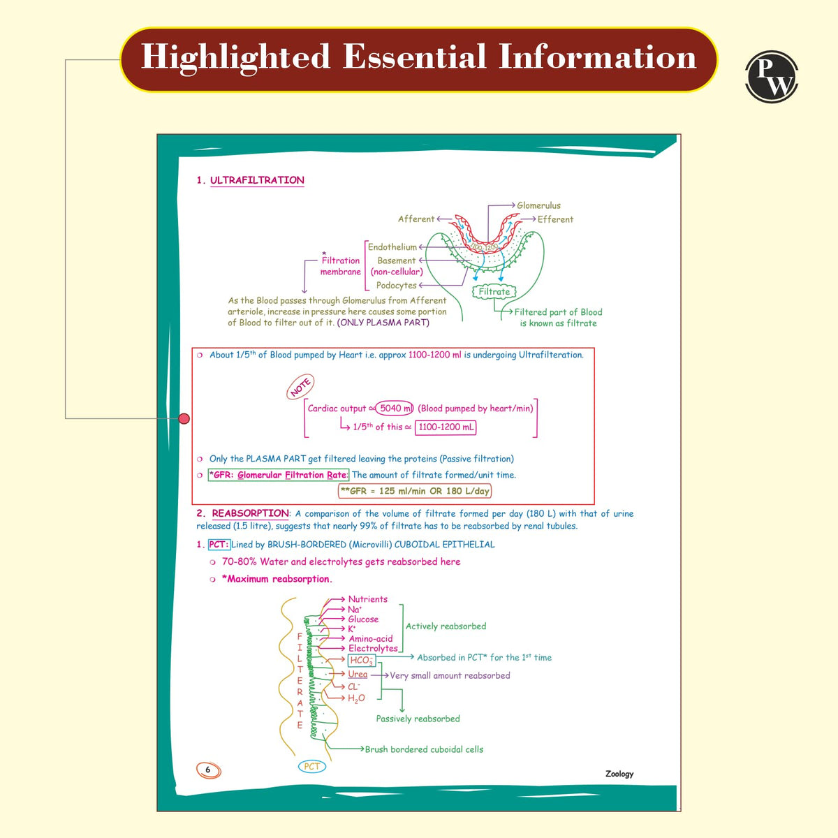PW Zoology Med Easy For NEET and Board Exams 2024-25 | Flowcharts, Schematic Diagrams Samapti Sinha Mahapatra Handwritten Notes [Paperback] Samapti Sinha Mahapatra