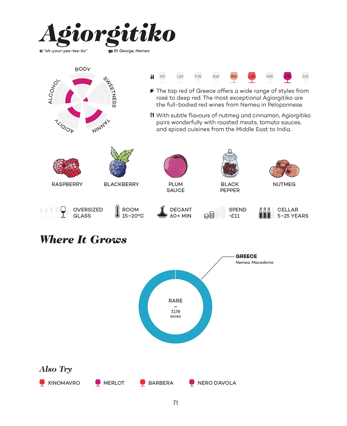 Wine Folly: Magnum Edition: The Master Guide
