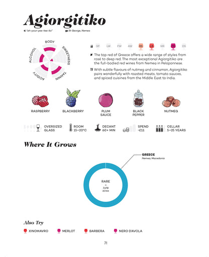 Wine Folly: Magnum Edition: The Master Guide