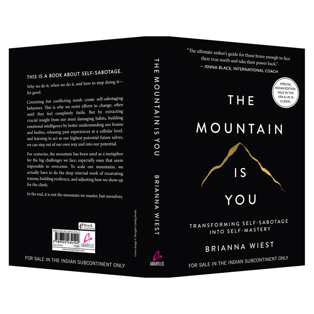 The Mountain Is You: Transforming Self-Sabotage Into Self-Mastery (English)
