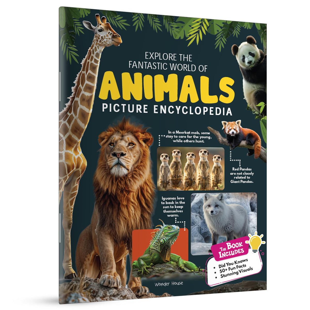 Explore Fantastic World of Animals Picture Encyclopedia