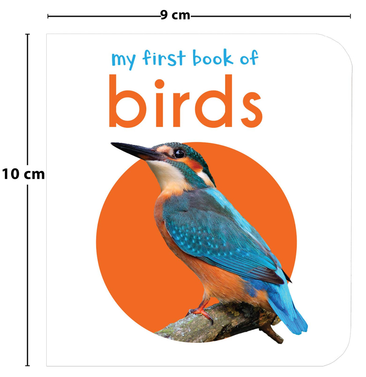My First Book of Birds | First Birds Board Book for Babies, Toddlers & Preschoolers | Learn About Common Birds with Bright and Realistic Pictures | Early Learning Book for Kids Ages 0-3 Years
