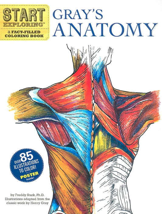 START EXPLORING: GRAYS ANATOMY book cover