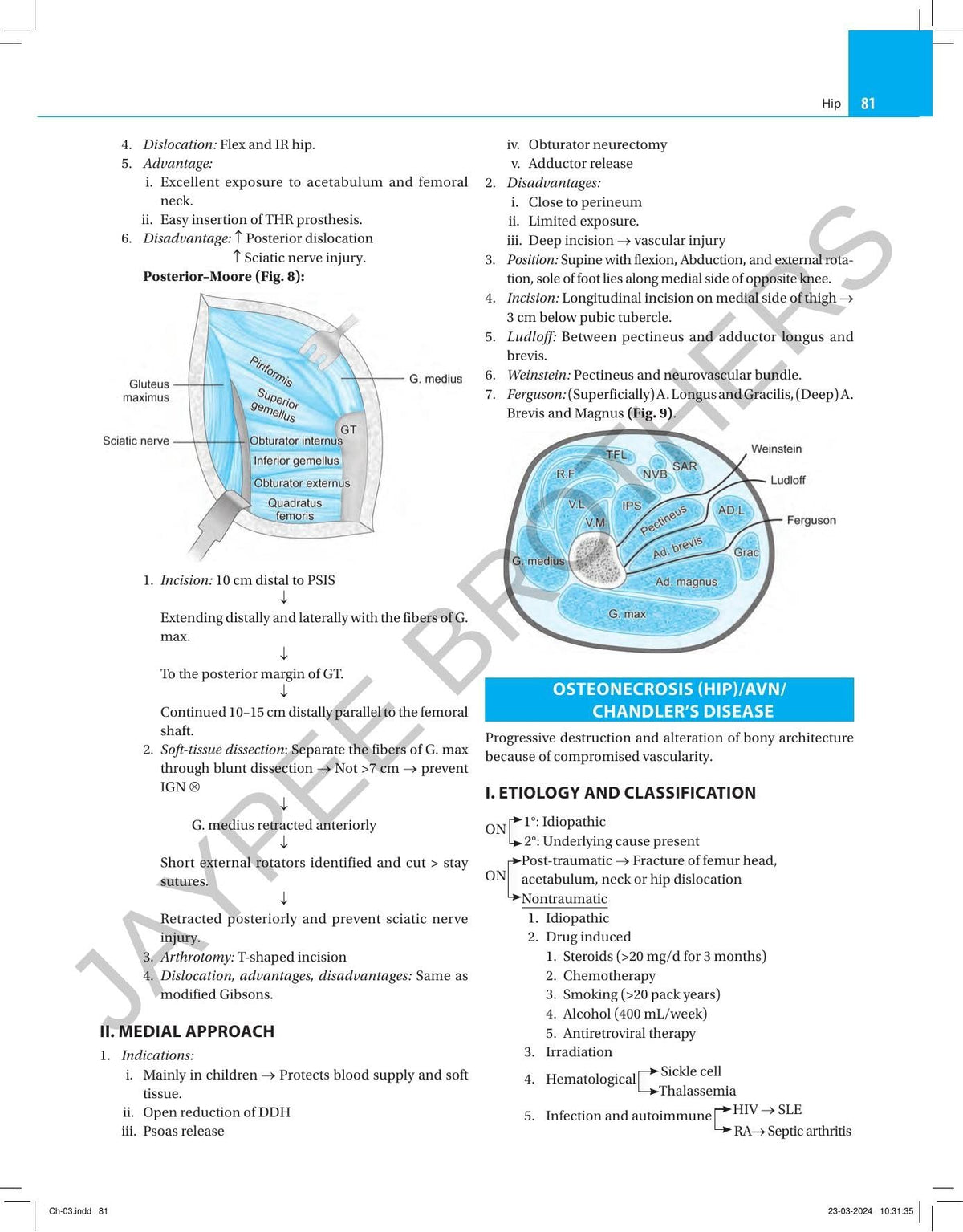 Orthopedic Exam Review, 2/E for MS, DNB & Diploma Orthopedic Postgraduates | 300+ PG Exam Questions with Hand-Drawn Flowcharts, Tables & Diagrams for ... A Comprehensive Manual for Postgraduates: 1
