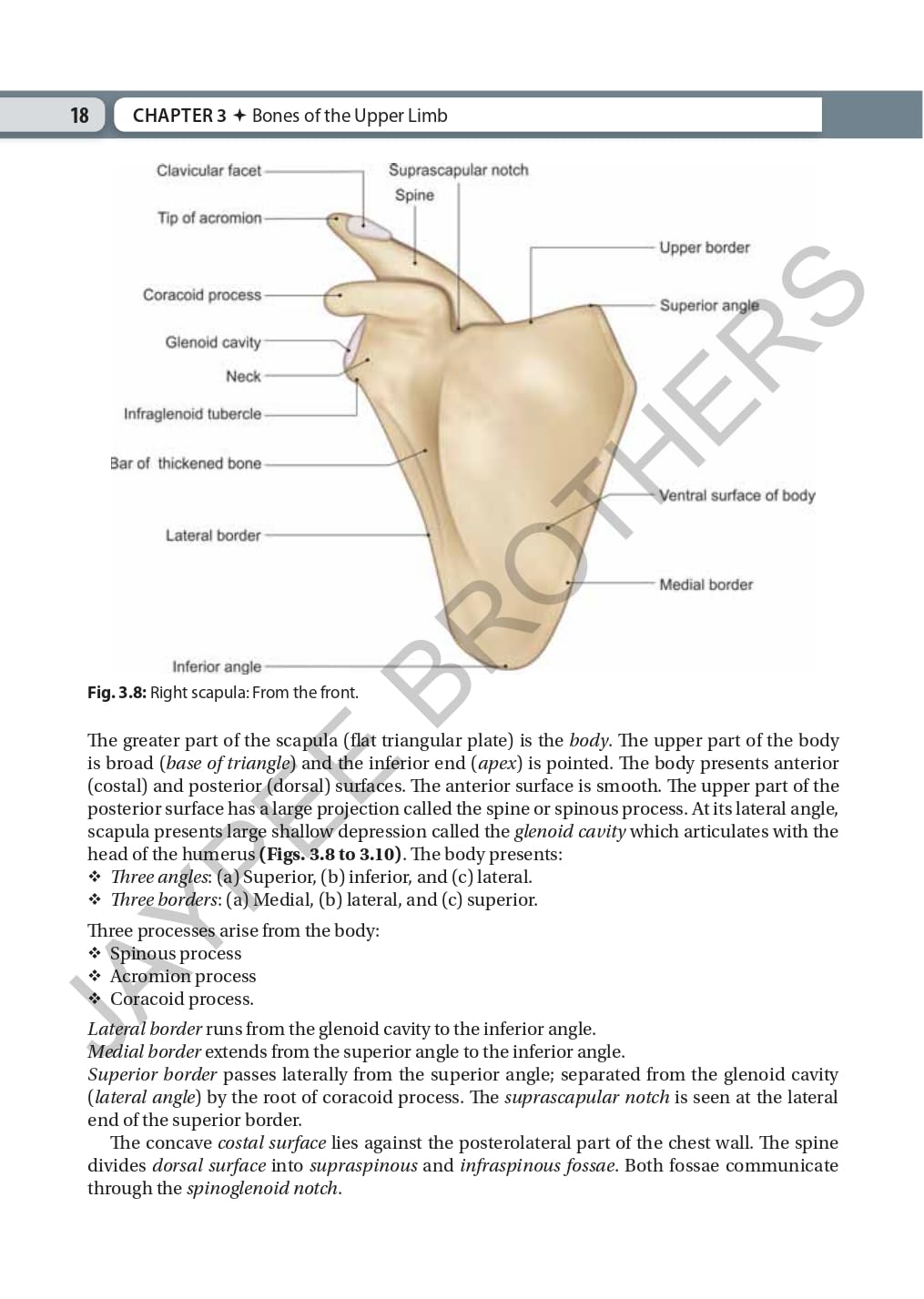 Inderbir Singh's Textbook of Human Osteology with Atlas of Muscle Attachments, 5/E for MBBS 1st Year Students | CBME-aligned Bone-by-Bone Atlas with Muscle, Ligament Tables and Viva Questionnaire