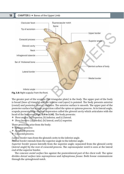 Inderbir Singh's Textbook of Human Osteology with Atlas of Muscle Attachments, 5/E for MBBS 1st Year Students | CBME-aligned Bone-by-Bone Atlas with Muscle, Ligament Tables and Viva Questionnaire