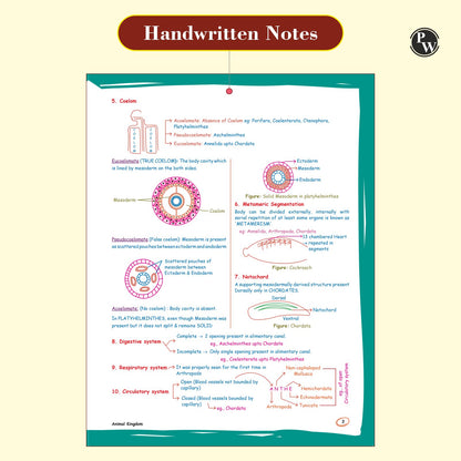 PW Zoology Med Easy For NEET and Board Exams 2024-25 | Flowcharts, Schematic Diagrams Samapti Sinha Mahapatra Handwritten Notes [Paperback] Samapti Sinha Mahapatra