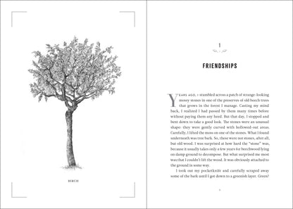 The Hidden Life of Trees: What They Feel, How They Communicate-- Discoveries from a Secret World: 1 (The Mysteries of Nature, 1)