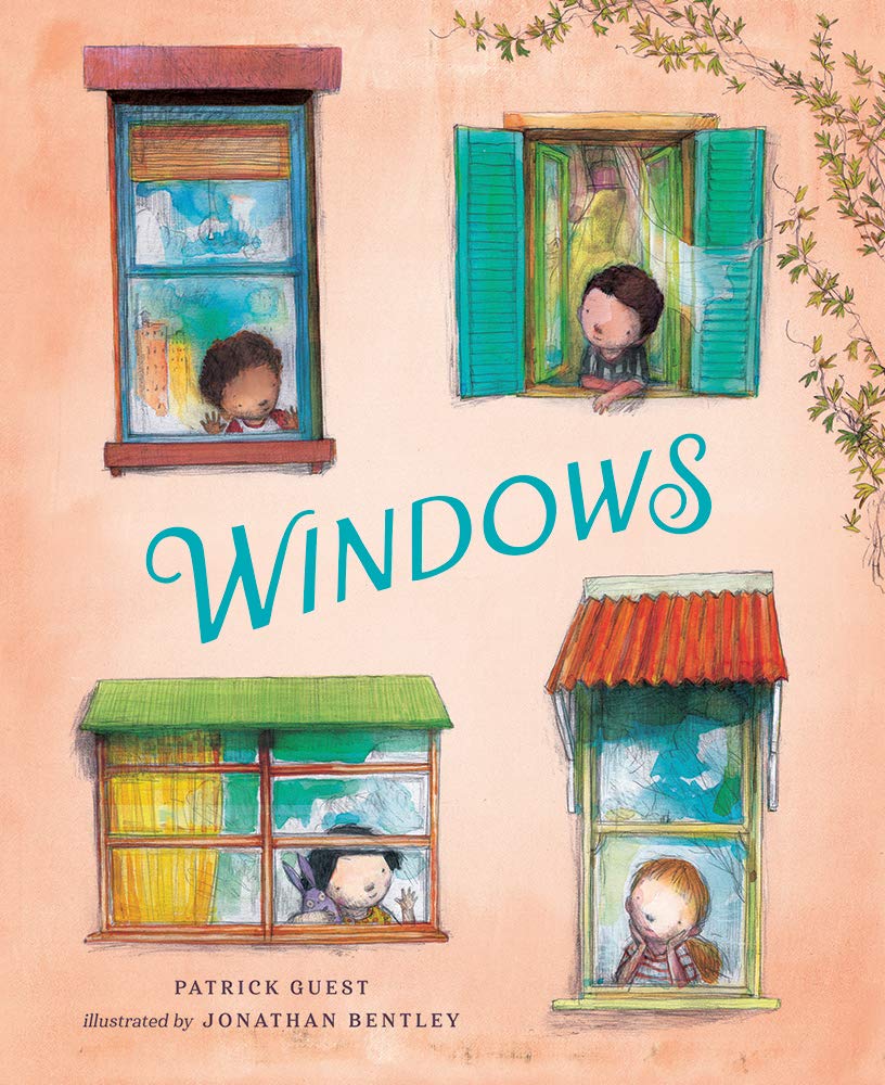 Windows book cover