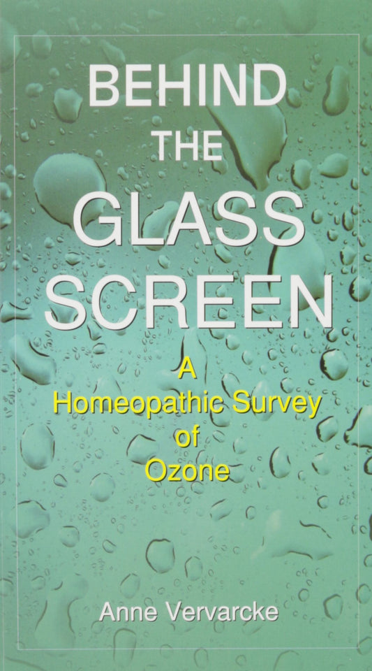 BEHIND THE GLASS SCREEN book cover