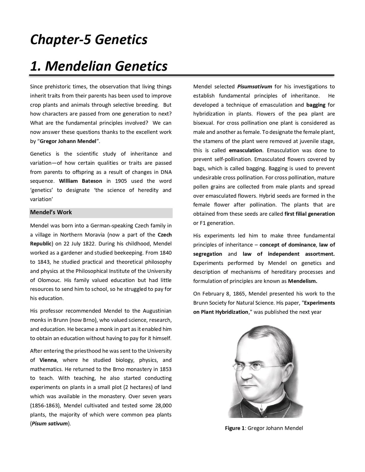 IIT JAM Biotechnology Books 2027 (Vol 3) | Complete Theory Book for Genetics, Microbiology & Techniques | Best for IIT JAM, GAT-B, CUET(PG), TIFR & All MSc Entrance Exams | IFAS