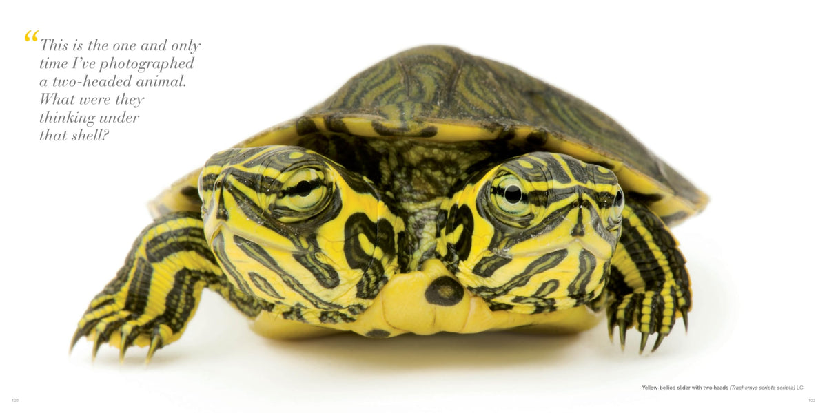 National Geographic The Photo Ark: One Man's Quest to Document the World's Animals