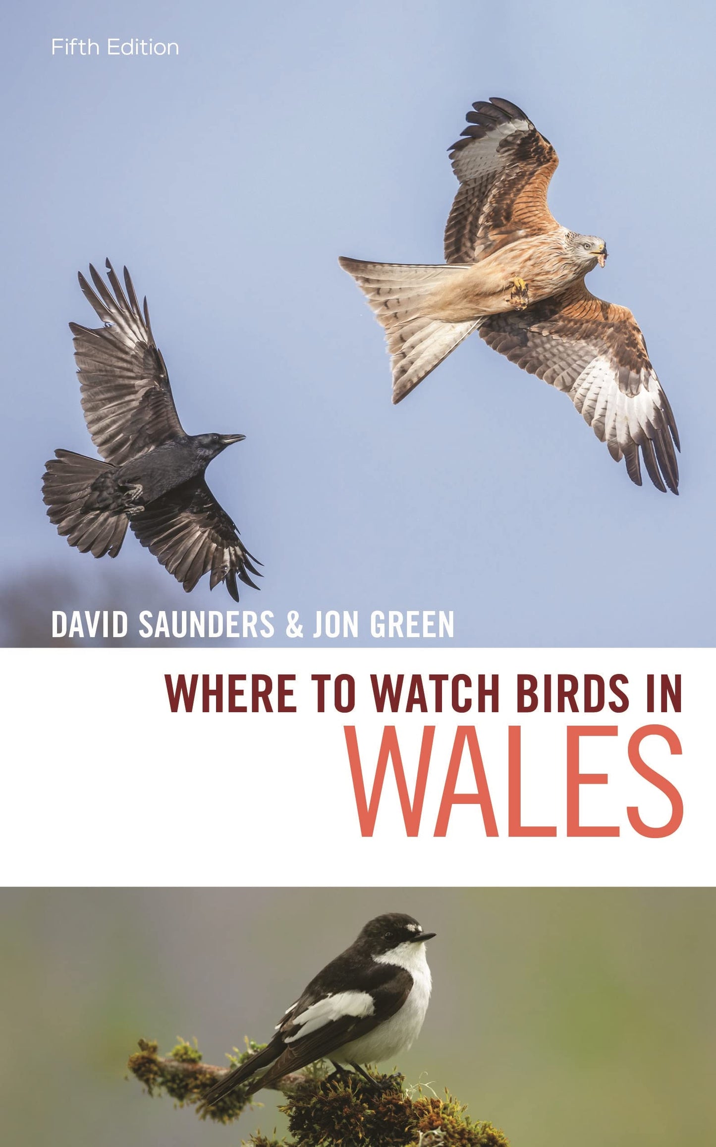 Where to Watch Birds in Wales book cover
