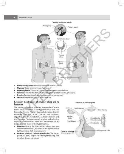 NURSING Solved Question Papers for General Nursing and Midwifery 1st Year (2022-2026), 5/E | Last 5 Years' Solved PYQs as per INC Syllabus for GNM Students: 1