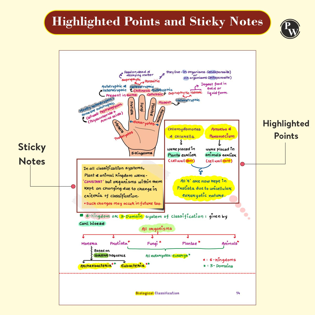 PW Chemistry, Physics, Botany and Zoology Med Easy Handwritten Notes Combo set of 4 Books | Notes, Formulas, Tips & Tricks for NEET/JEE & Board Exams [Paperback] PW