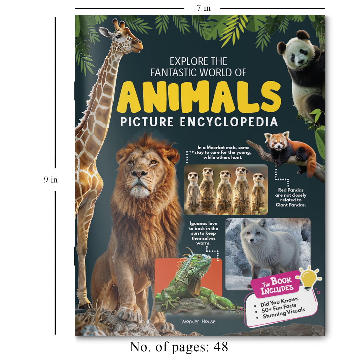 Explore Fantastic World of Animals Picture Encyclopedia