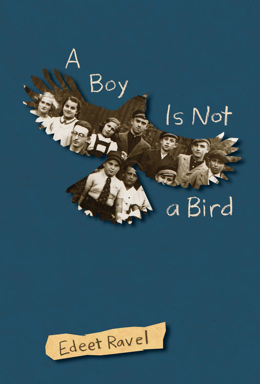 A Boy Is Not a Bird book cover