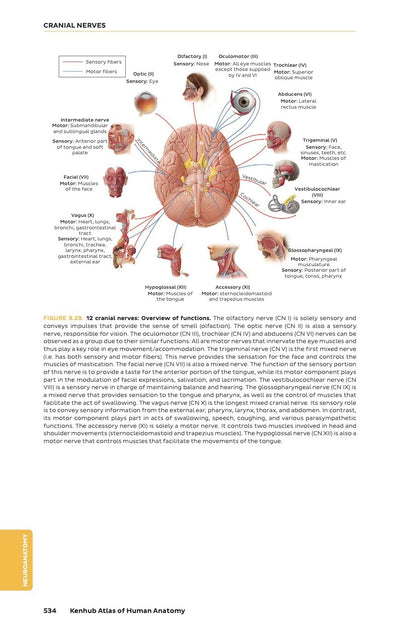 Kenhub Atlas of Human Anatomy