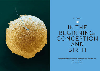 The Body Illustrated: A Guide for Occupants