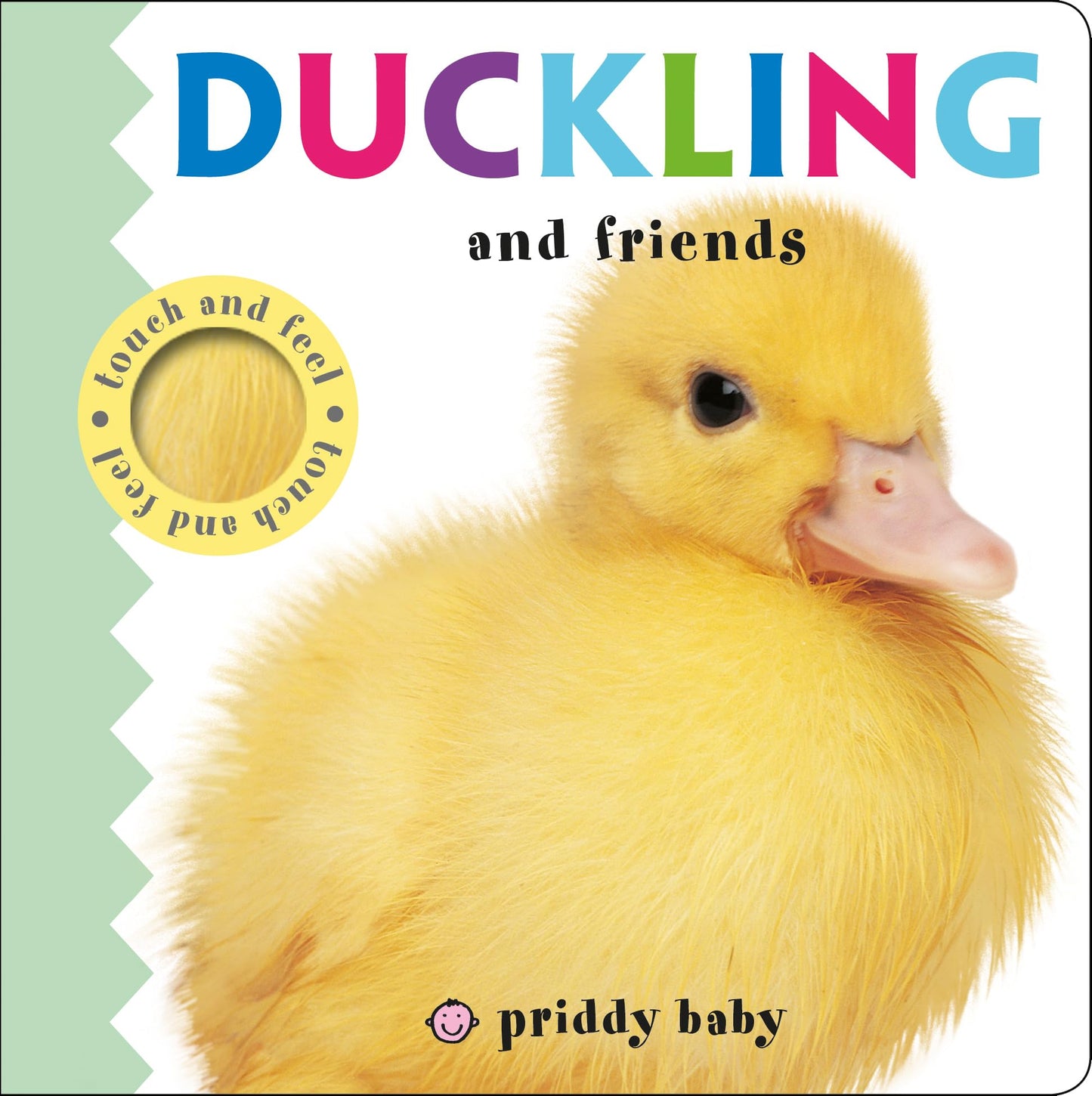 DUCKLING AND FRIENDS TOUCH AND FEEL book cover