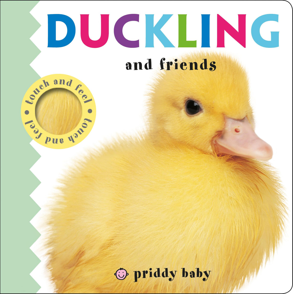 DUCKLING AND FRIENDS TOUCH AND FEEL book cover