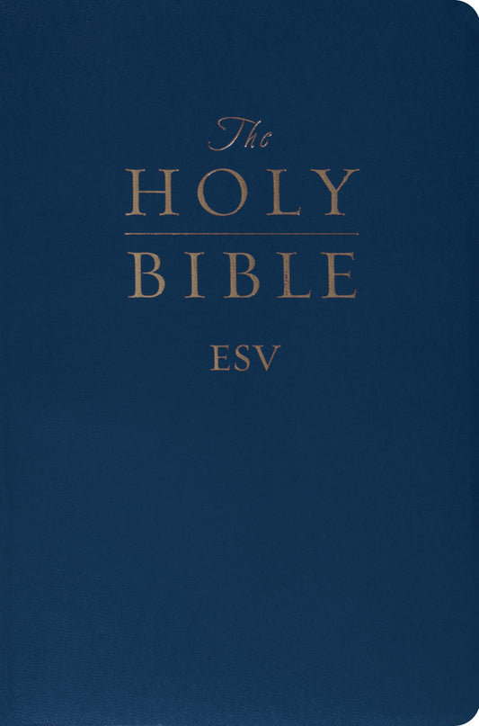 The Holy Bible: Blue, Imitation Leather book cover