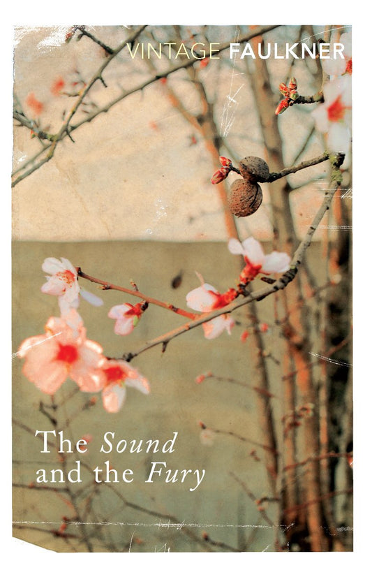 Sound and the Fury book cover