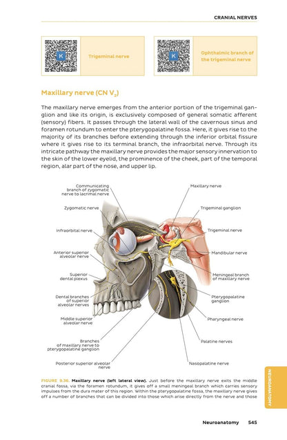 Kenhub Atlas of Human Anatomy