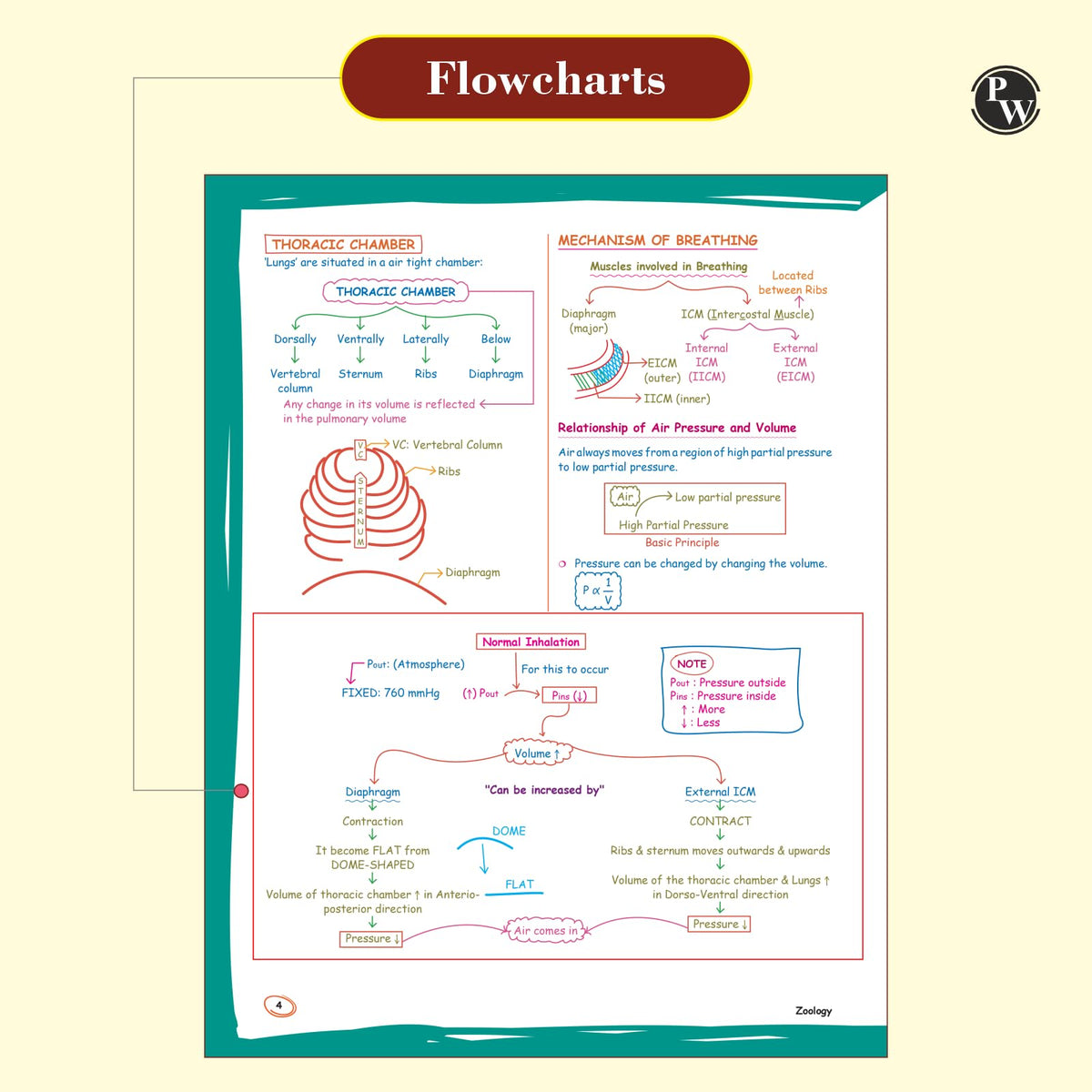 PW Zoology Med Easy For NEET and Board Exams 2024-25 | Flowcharts, Schematic Diagrams Samapti Sinha Mahapatra Handwritten Notes [Paperback] Samapti Sinha Mahapatra
