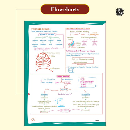 PW Zoology Med Easy For NEET and Board Exams 2024-25 | Flowcharts, Schematic Diagrams Samapti Sinha Mahapatra Handwritten Notes [Paperback] Samapti Sinha Mahapatra