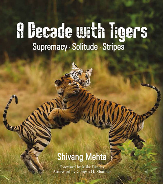 A Decade with Tigers: Supremacy · Solitude · Stripes by Shivang Mehta (Author) book cover