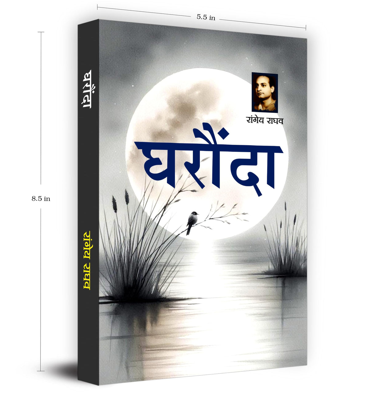 Gharonda Novel Book in Hindi by Rangeya Raghav | A Deeply Emotional Hindi Fiction on Family, Relationships and Social Pressures