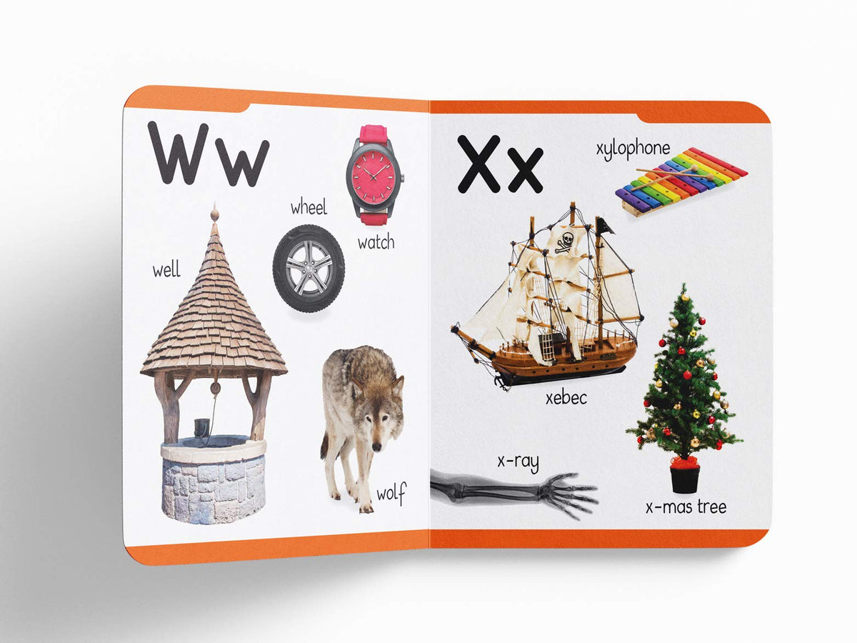 My First Padded Book of Alphabet: Early Learning Board Book for Kids | Learn ABC with Bright and Colorful Pictures | Durable Padded Board Book for Babies, Toddlers & Preschoolers | Ages 0–5 Years