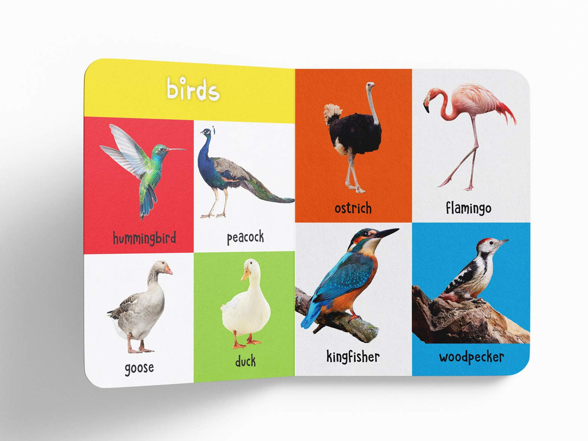 My First 100 Animals And Birds | Ages 0–5 Years | Early Learning | Padded Board Book For Kids | Wild Animals | Farm Animals | Pets | Vocabulary Building | Toddlers & Preschoolers | Latest Edition
