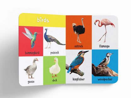 My First 100 Animals And Birds | Ages 0–5 Years | Early Learning | Padded Board Book For Kids | Wild Animals | Farm Animals | Pets | Vocabulary Building | Toddlers & Preschoolers | Latest Edition