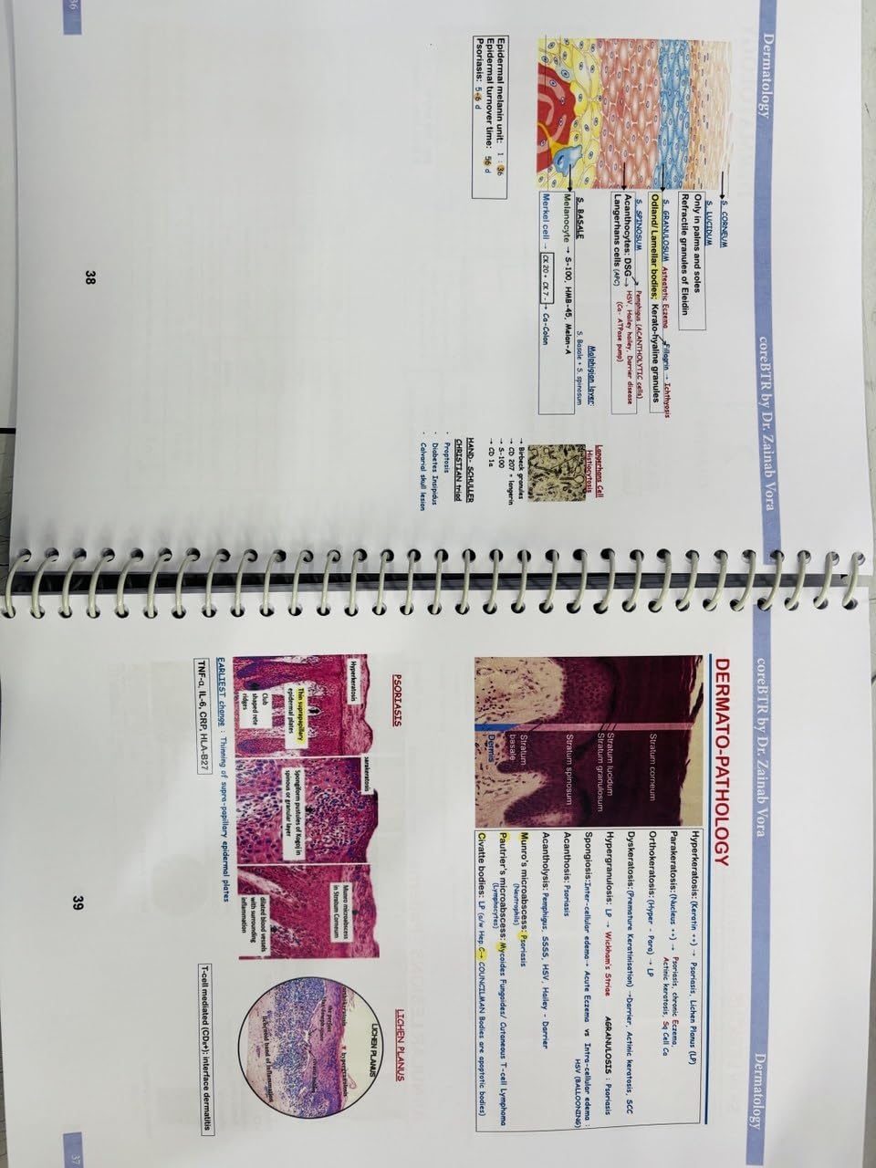 Core BTR Annotated Notes 3.0, Latest Edition 2026-2027, Set of 3 Books, for NEET PG, INICET, FMGE