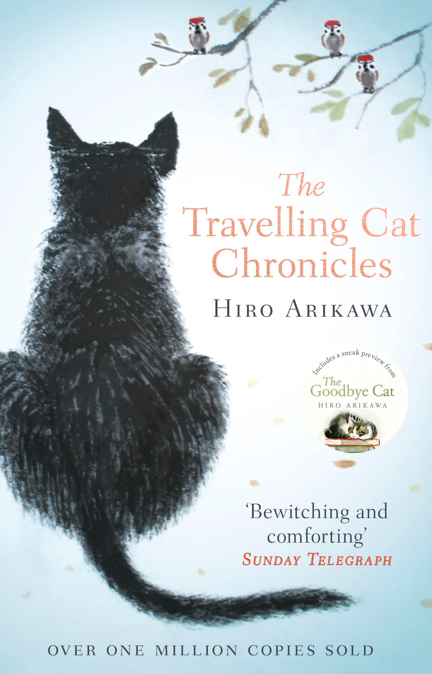 travelling-cat-chronicles