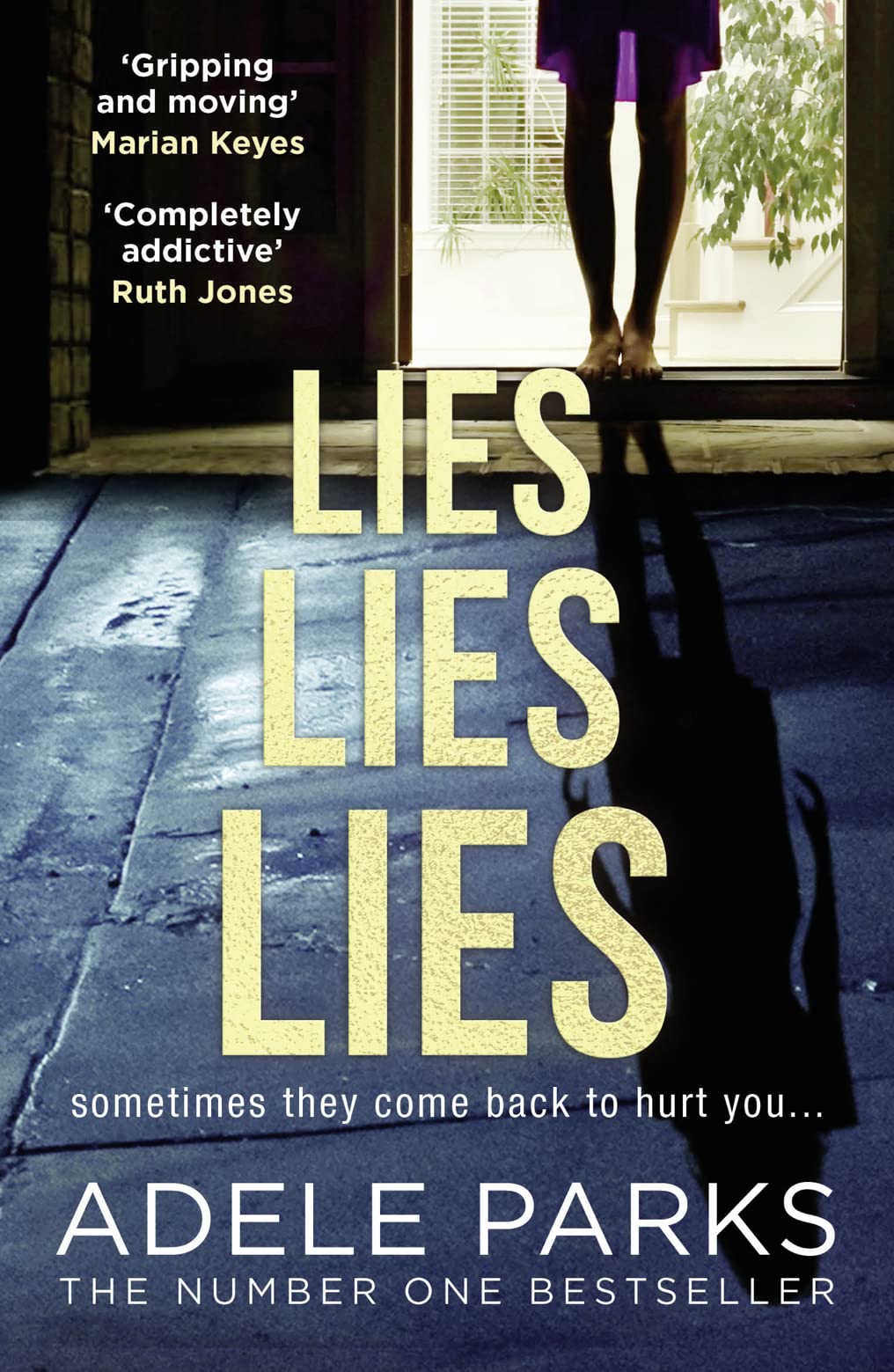 Lies Lies Lies book cover