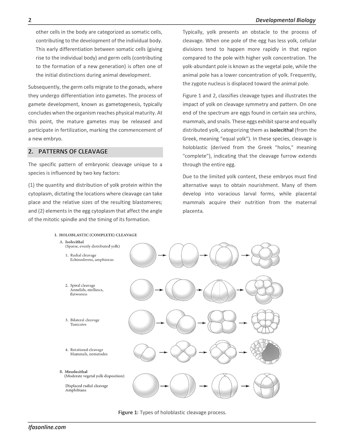 CSIR NET Life Science Books 2026 - Complete Theory & Practice Notes (3 Books) | Life Sciences Study Material for CSIR UGC NET/JRF, GATE, DBT & ICMR | IFAS Publication