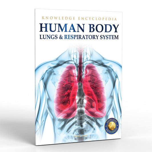 Human Body - Lungs And Respiratory System: Knowledge Encyclopedia For Children book cover