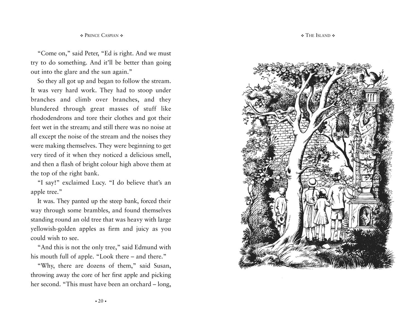 The Chronicles of Narnia Box Set: The complete collection of seven classic fantasy adventure stories for kids