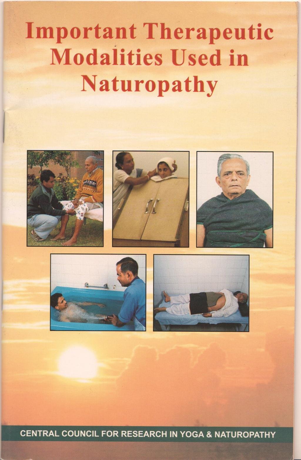 Important Therapeutic Modalities book cover