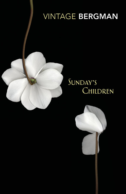 Sundays Children book cover