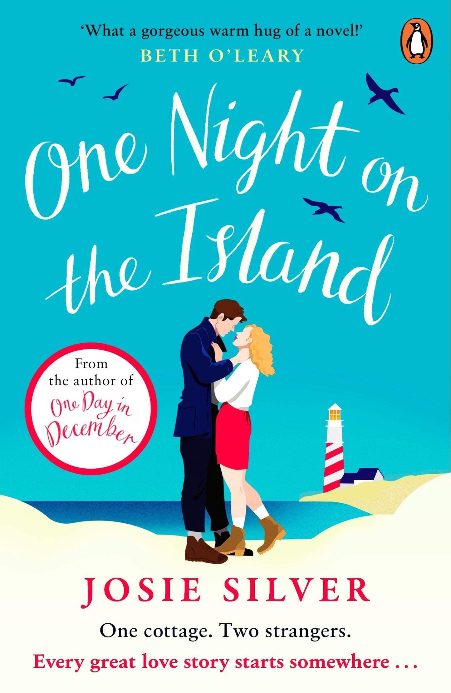 One Night On The Island book cover