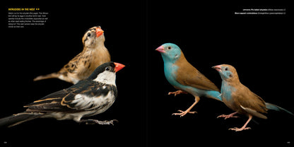 National Geographic The Photo Ark: One Man's Quest to Document the World's Animals