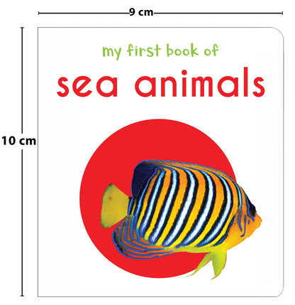 My First Book Of Sea Animals | Ages 0–3 Years | Ocean Animals | Board Book For Kids | Fish | Dolphins | Whales | Bright Pictures | Vocabulary Building | Toddlers & Preschoolers | Latest Edition