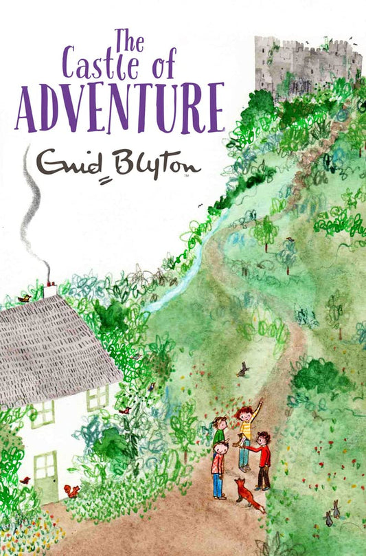 The Castle of Adventure: Volume 2 (The Adventure Series  2) by Enid Blyton book cover