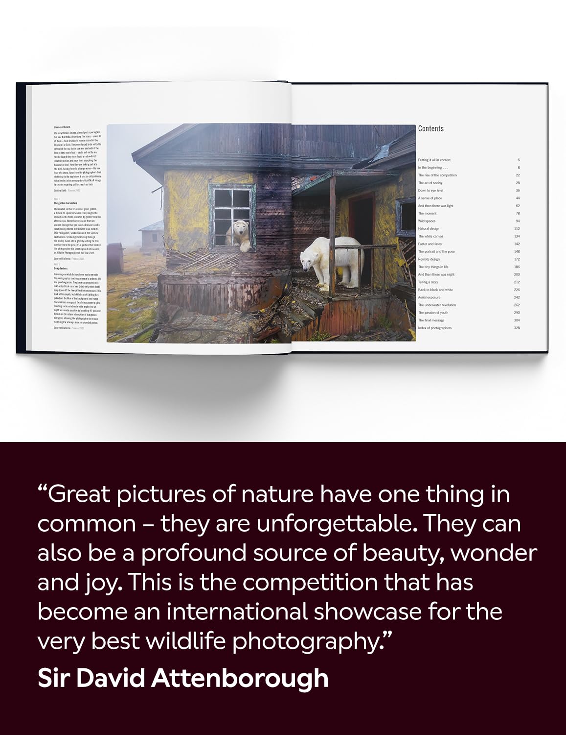 60 Years of Wildlife Photographer of the Year: How Wildlife Photography Became Art