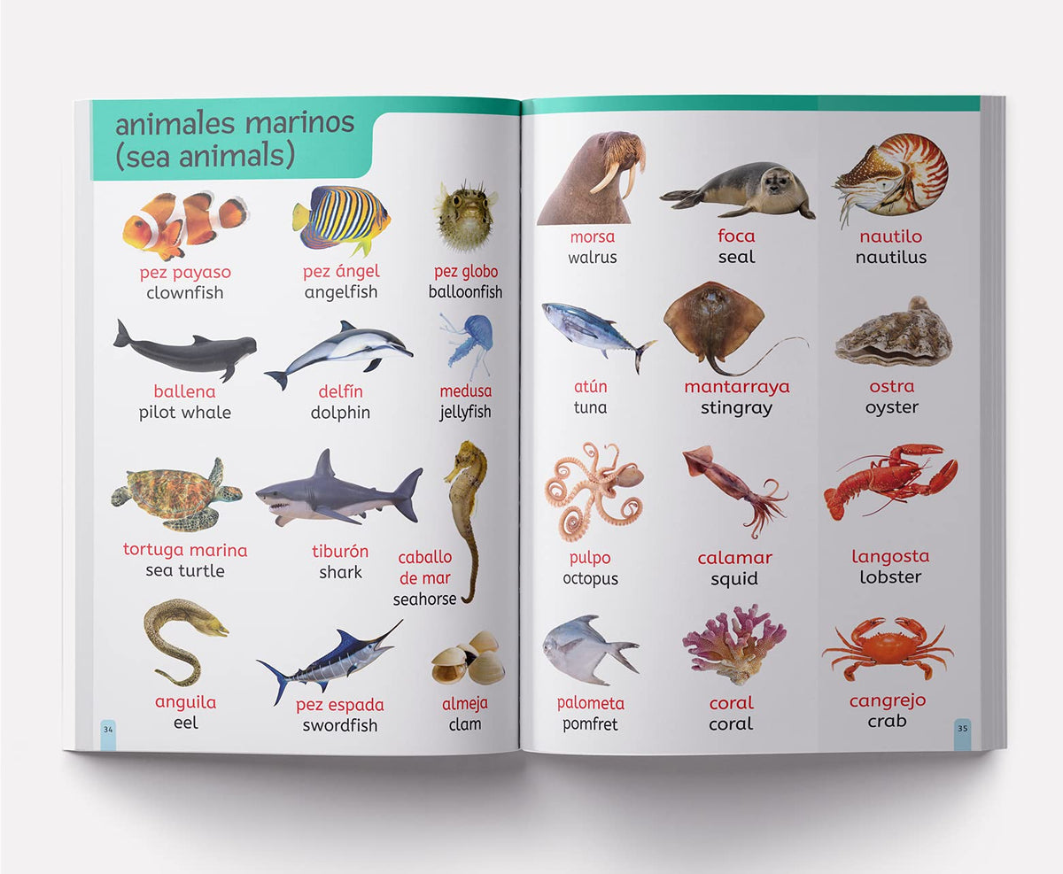 My First 1000 English-Espa?ol Words: Early Learning Bilingual Picture Book For Kids